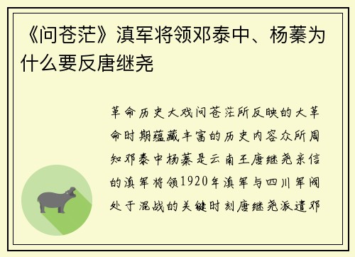 《问苍茫》滇军将领邓泰中、杨蓁为什么要反唐继尧